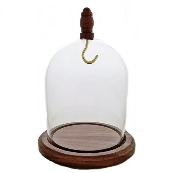 Glass Pocket Watch Dome - Wood Top Hook & Knob 3" x 4"