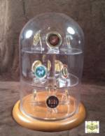 Challenge Coin Display Dome - 8" x 12" with Shelves