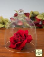 Glass Domes - Small Bell Jar Cloche - 6" x 7"H